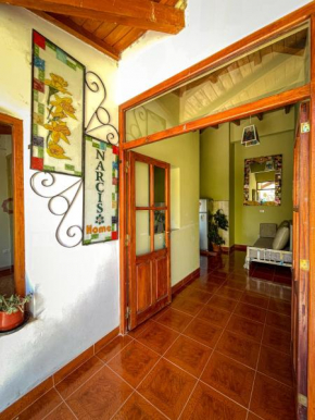 Narciso Home